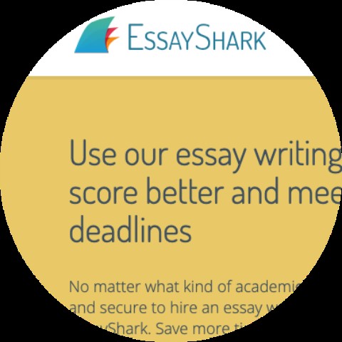 Write My Essay For Me On-line